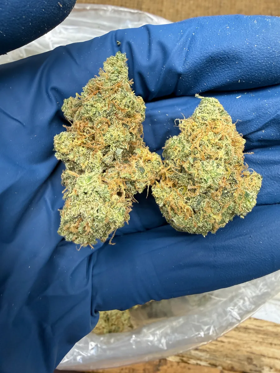 Alaskan Thunder Fuck wholesale hemp flower
