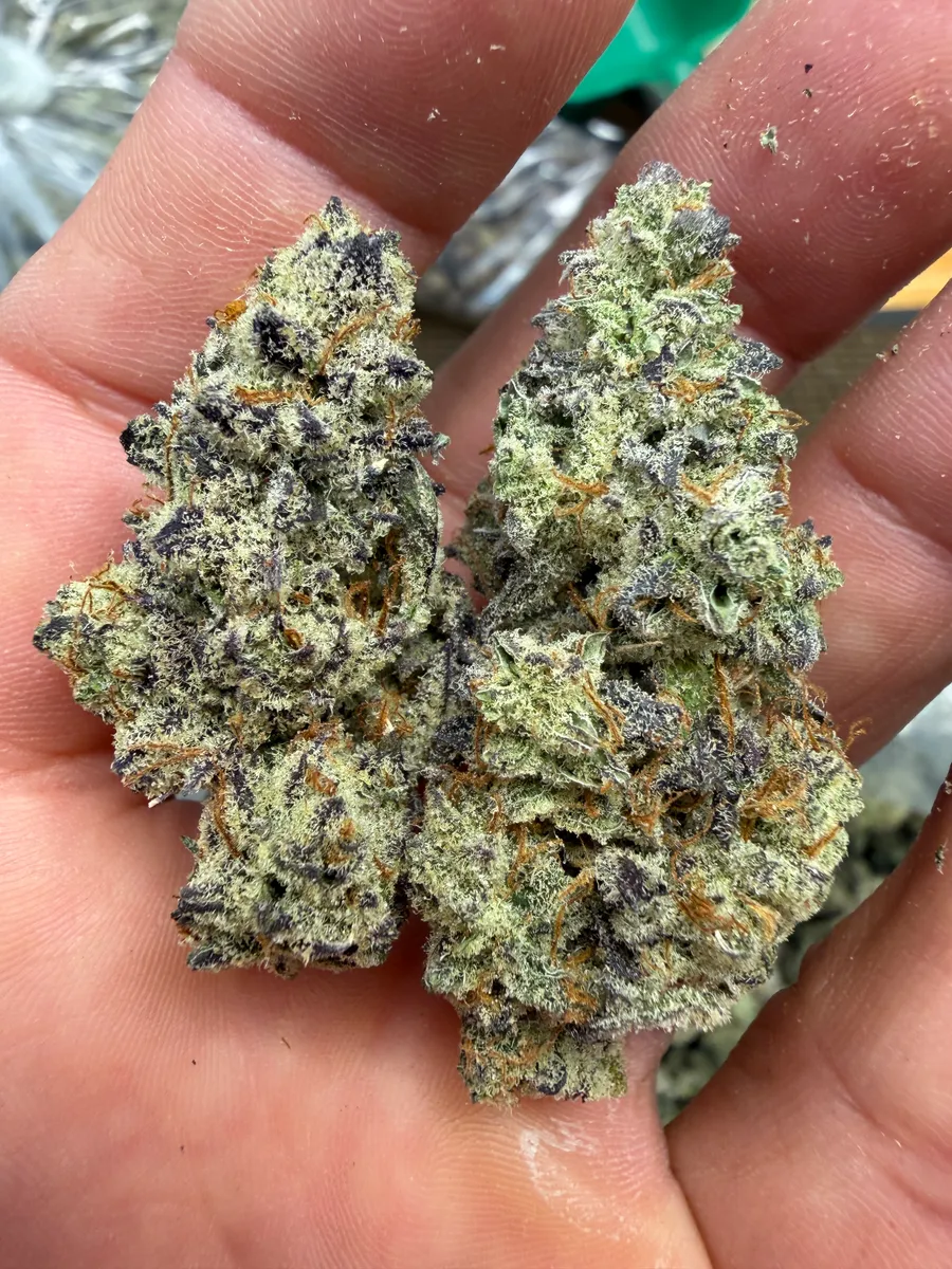 Baby Yoda wholesale hemp flower