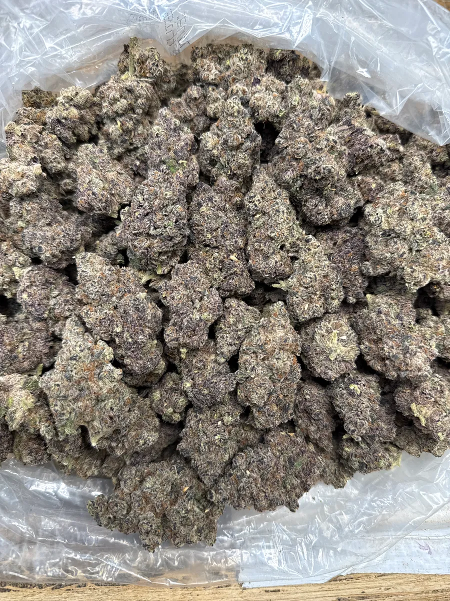 Baja Blasteroid wholesale hemp flower