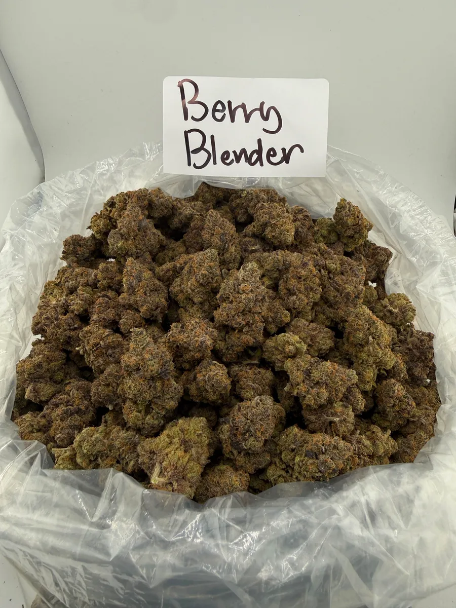 Berry Blender wholesale hemp flower