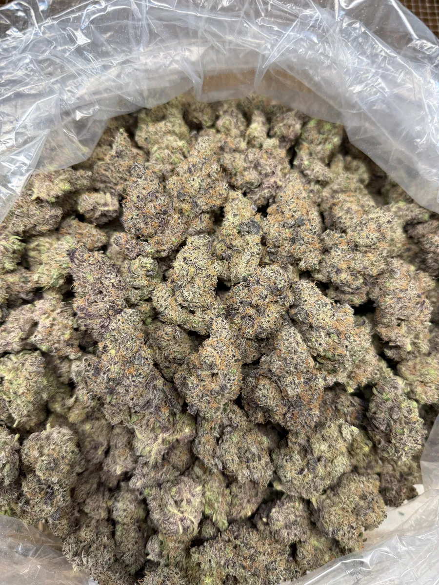 Black Truffle wholesale hemp flower