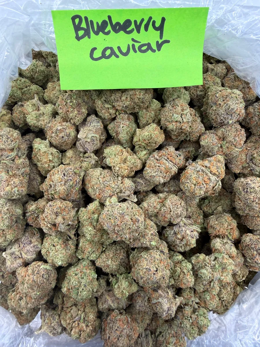 Blueberry Caviar wholesale hemp flower