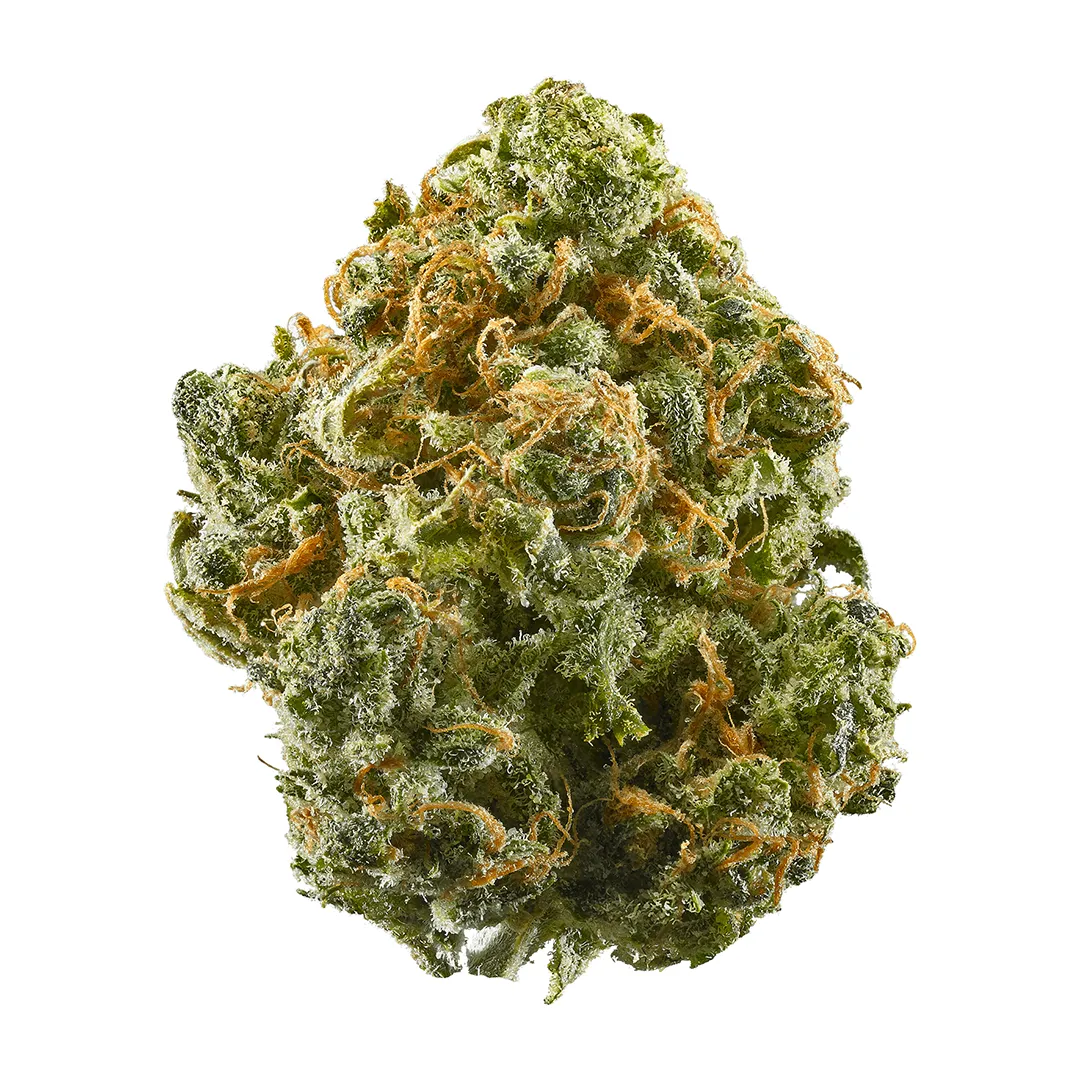 Bubba Kush CBD wholesale hemp flower
