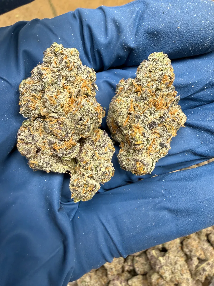 Caked Up Cherry wholesale hemp flower