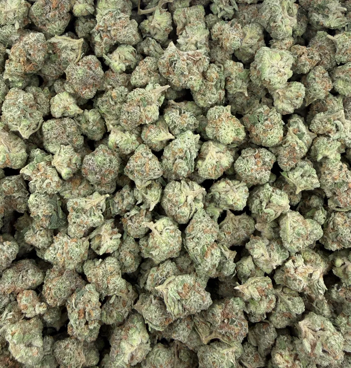 Caviar Gold wholesale hemp flower