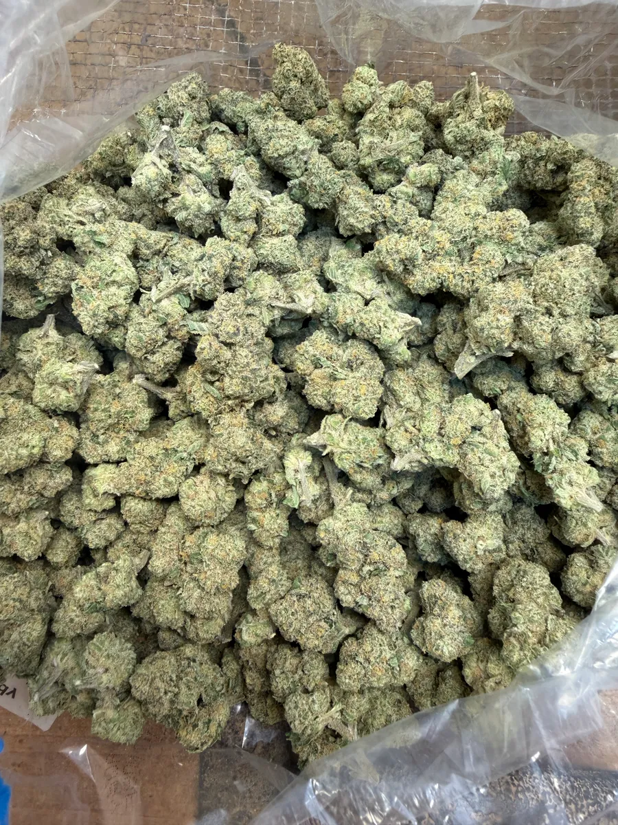 Cherry Frost wholesale hemp flower