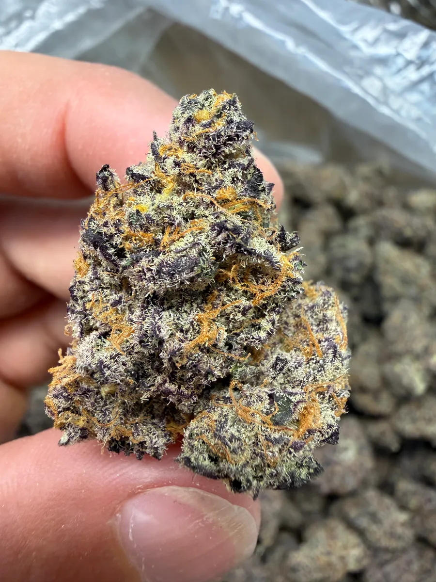 Chimera wholesale hemp flower