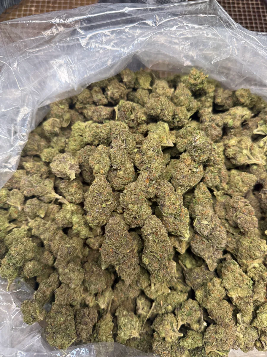 Double Runtz wholesale hemp flower