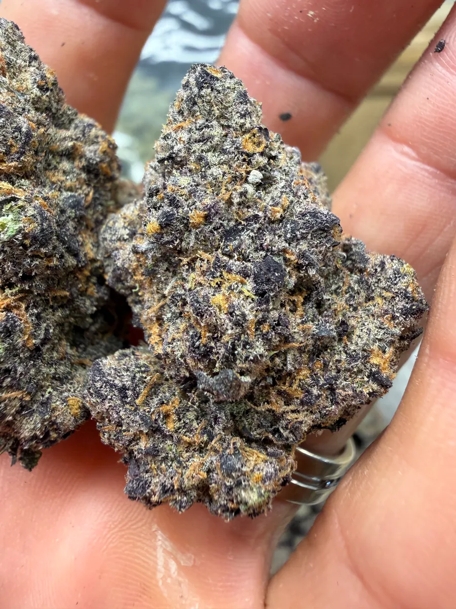 Electric Nerds wholesale hemp flower