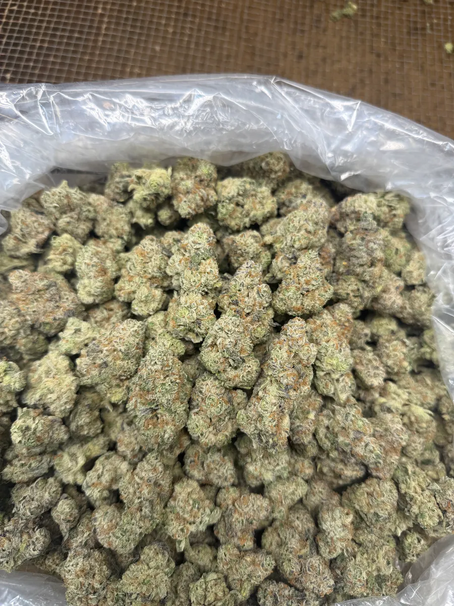 Frosted Guava wholesale hemp flower