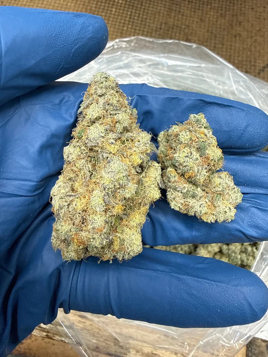 Garlic Breath wholesale hemp flower