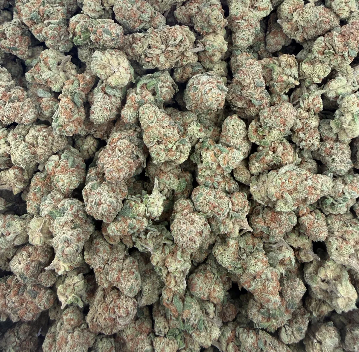 Glitter Bomb wholesale hemp