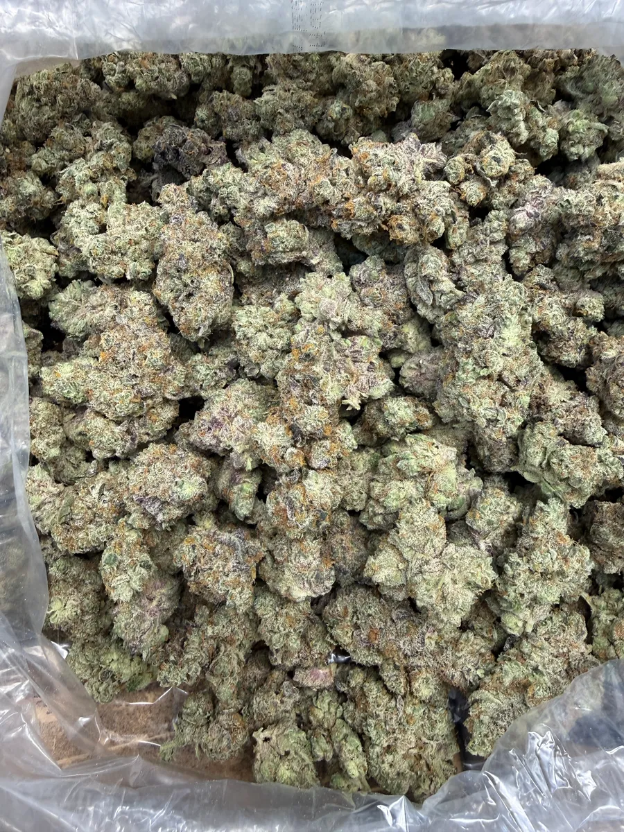 GMO wholesale hemp