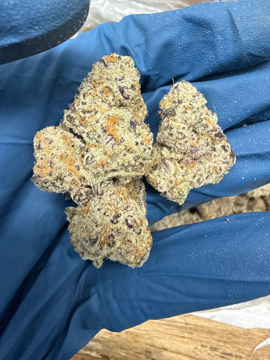 Hawaiian Snowcone wholesale hemp flower