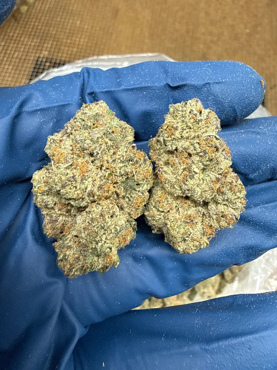 Ice Cream Pie wholesale hemp