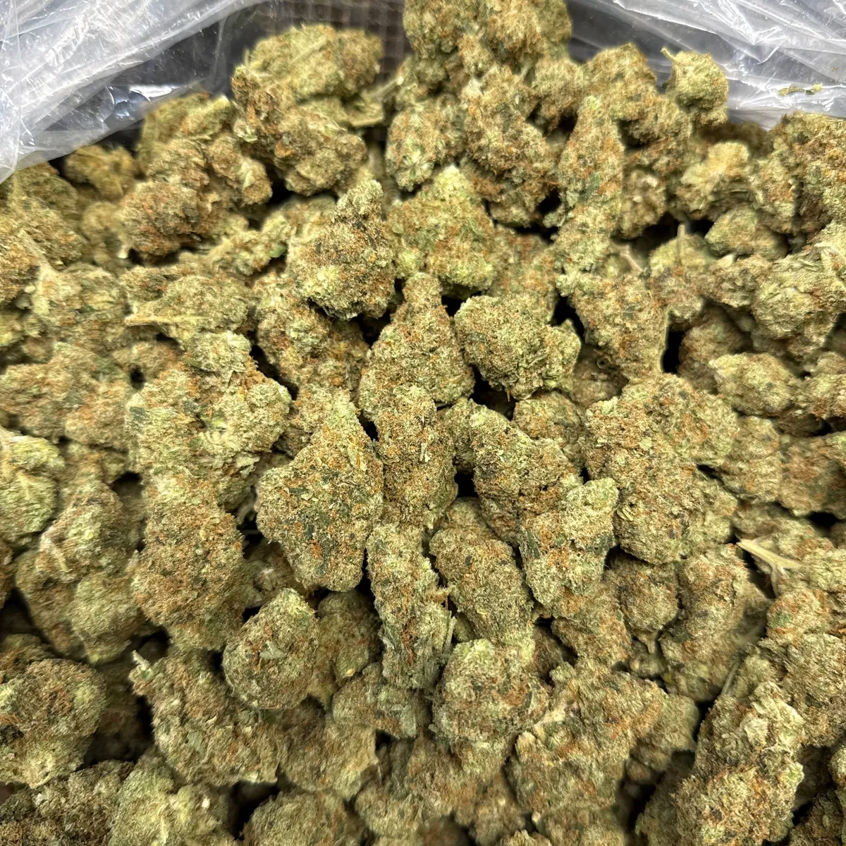 Jack Herer wholesale hemp flower