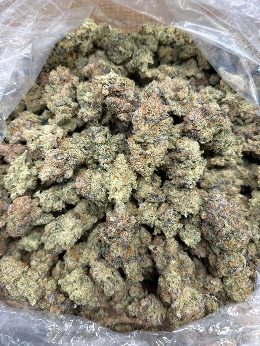 Jealousy wholesale hemp flower