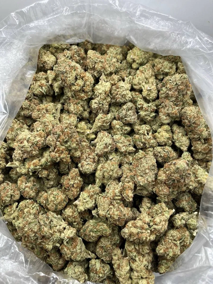 Juicy Fruit wholesale hemp flower