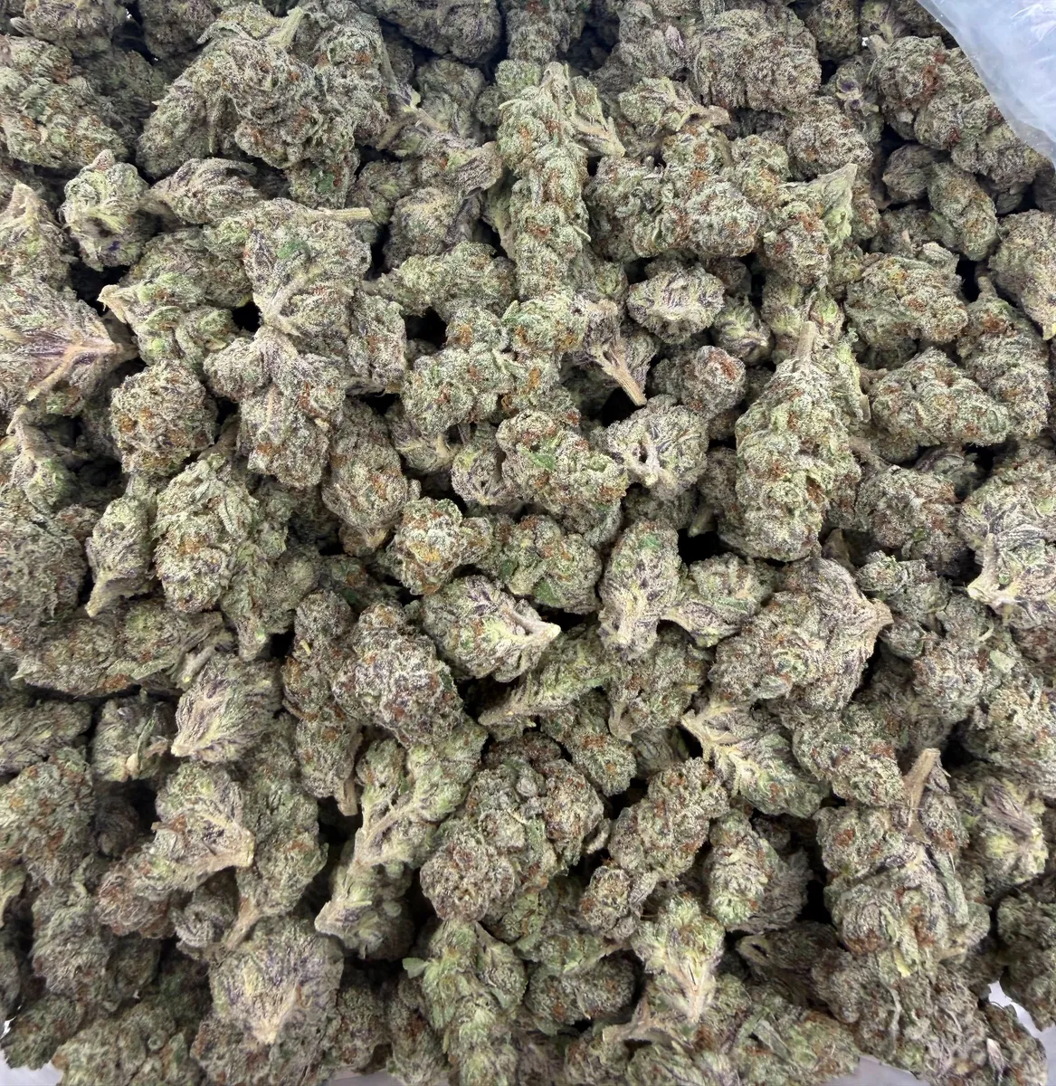 Kept Secret wholesale hemp flower