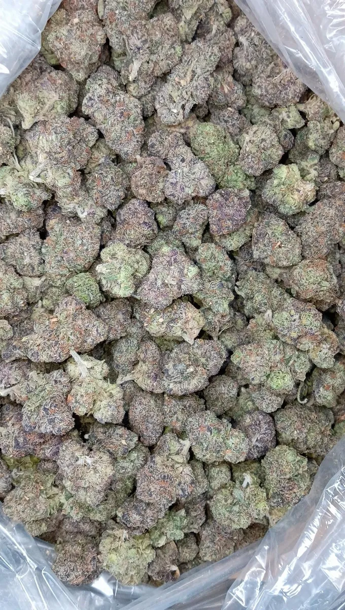 Lemon Cherry Gelato wholesale hemp