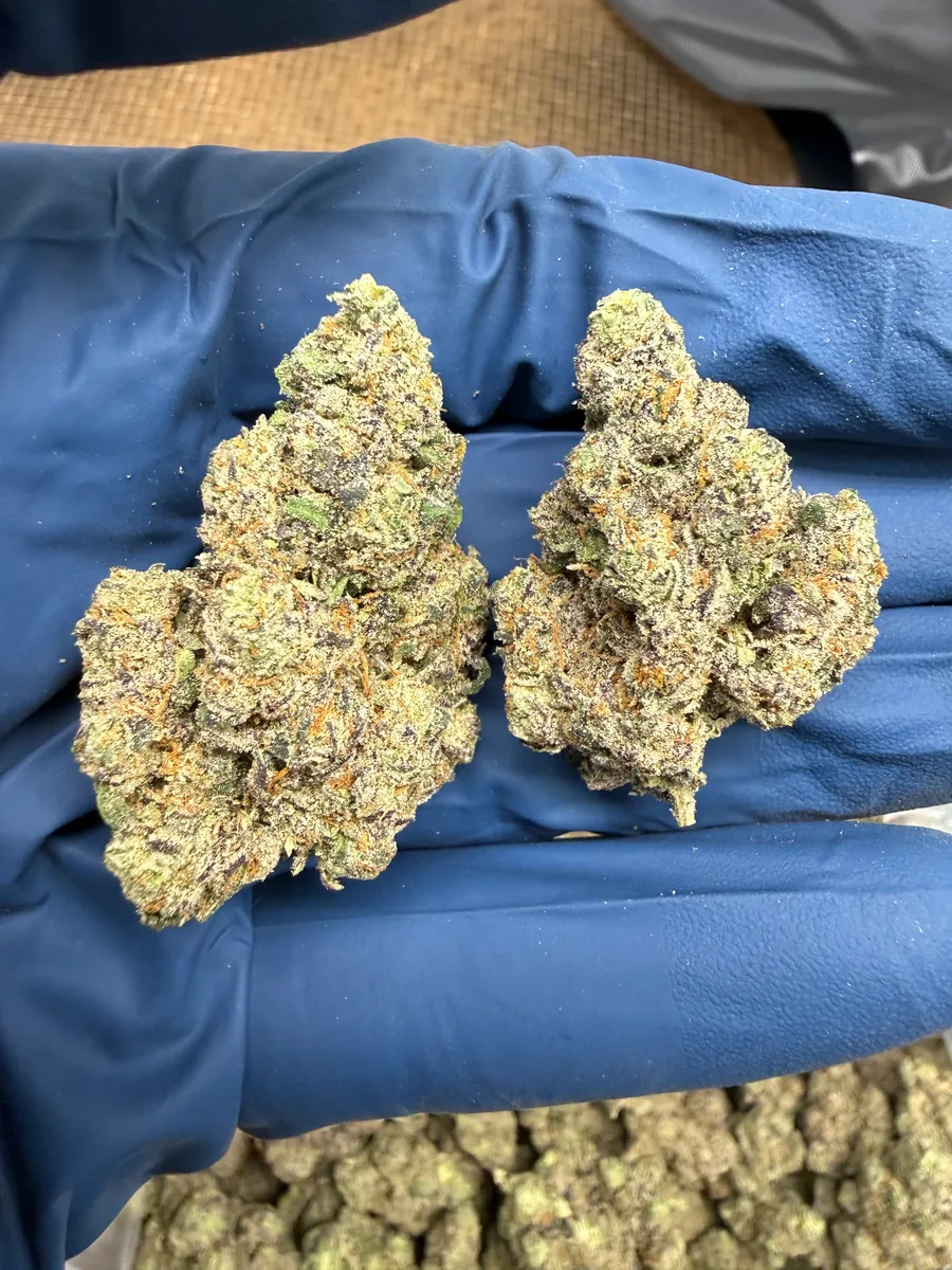 Lizard Bones wholesale hemp flower