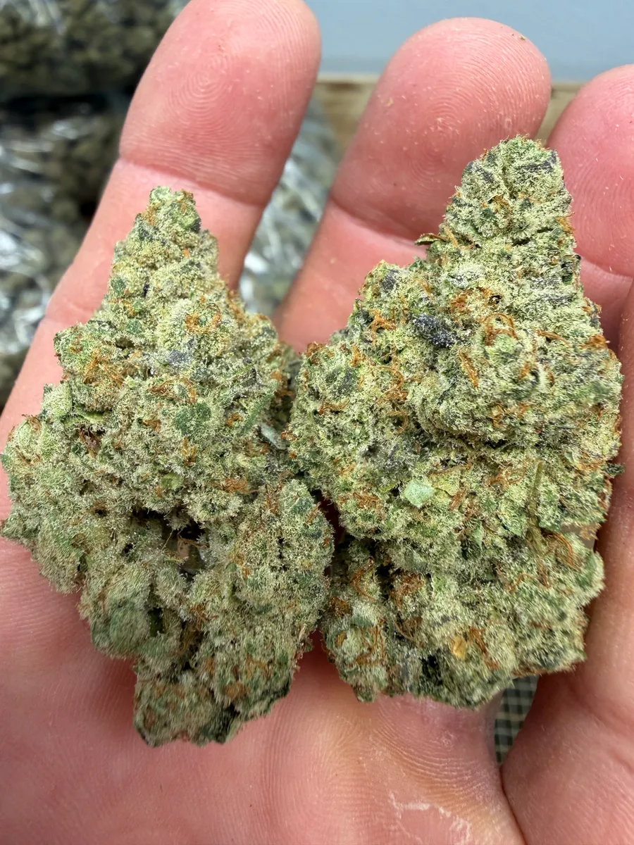 Lizard Burger wholesale hemp flower