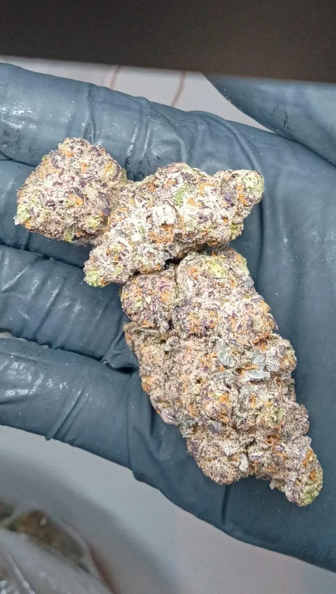 MAC 1 wholesale hemp flower