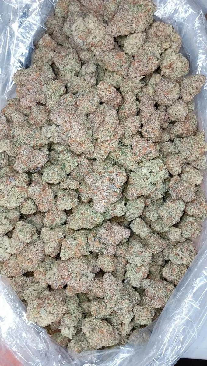 MAC Flurry wholesale hemp flower