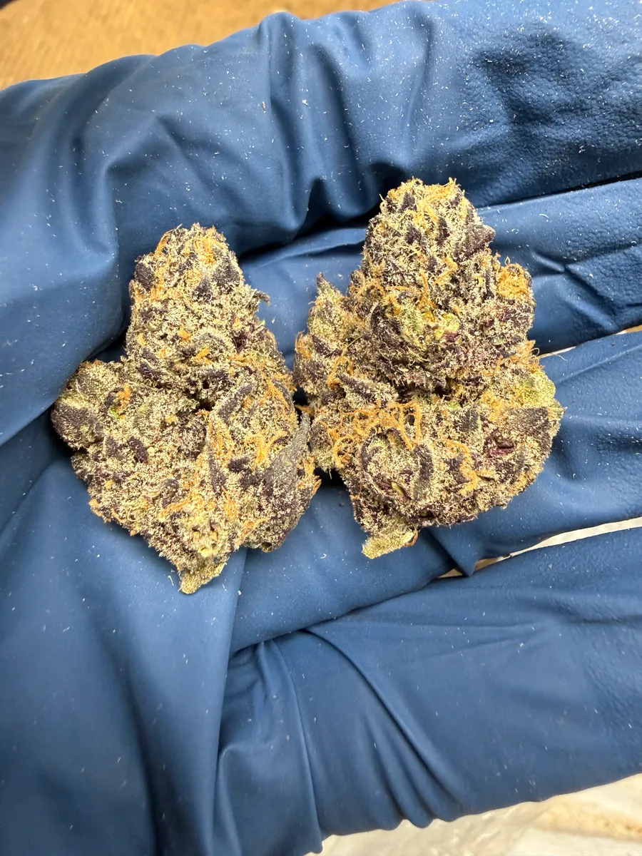 Maui Wowie wholesale hemp flower