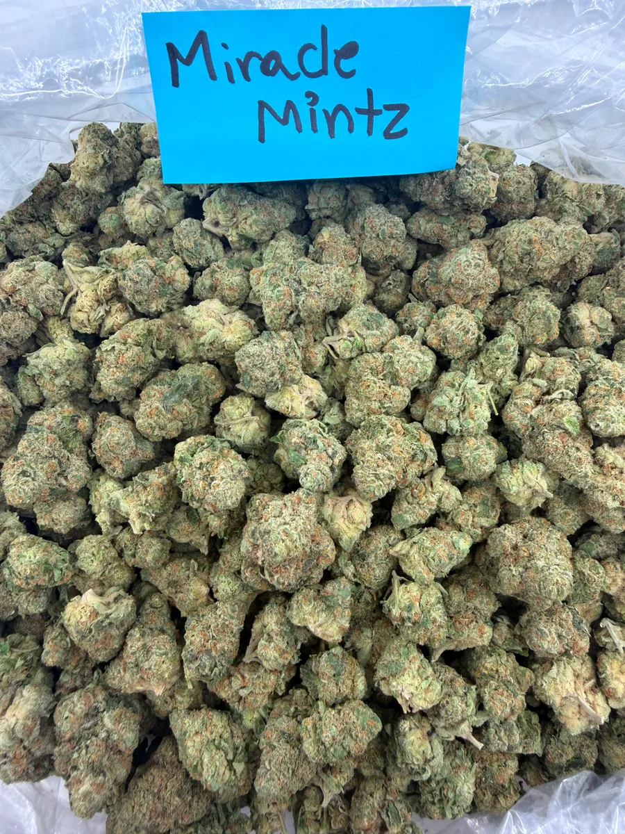 Miracle Mintz wholesale hemp flower