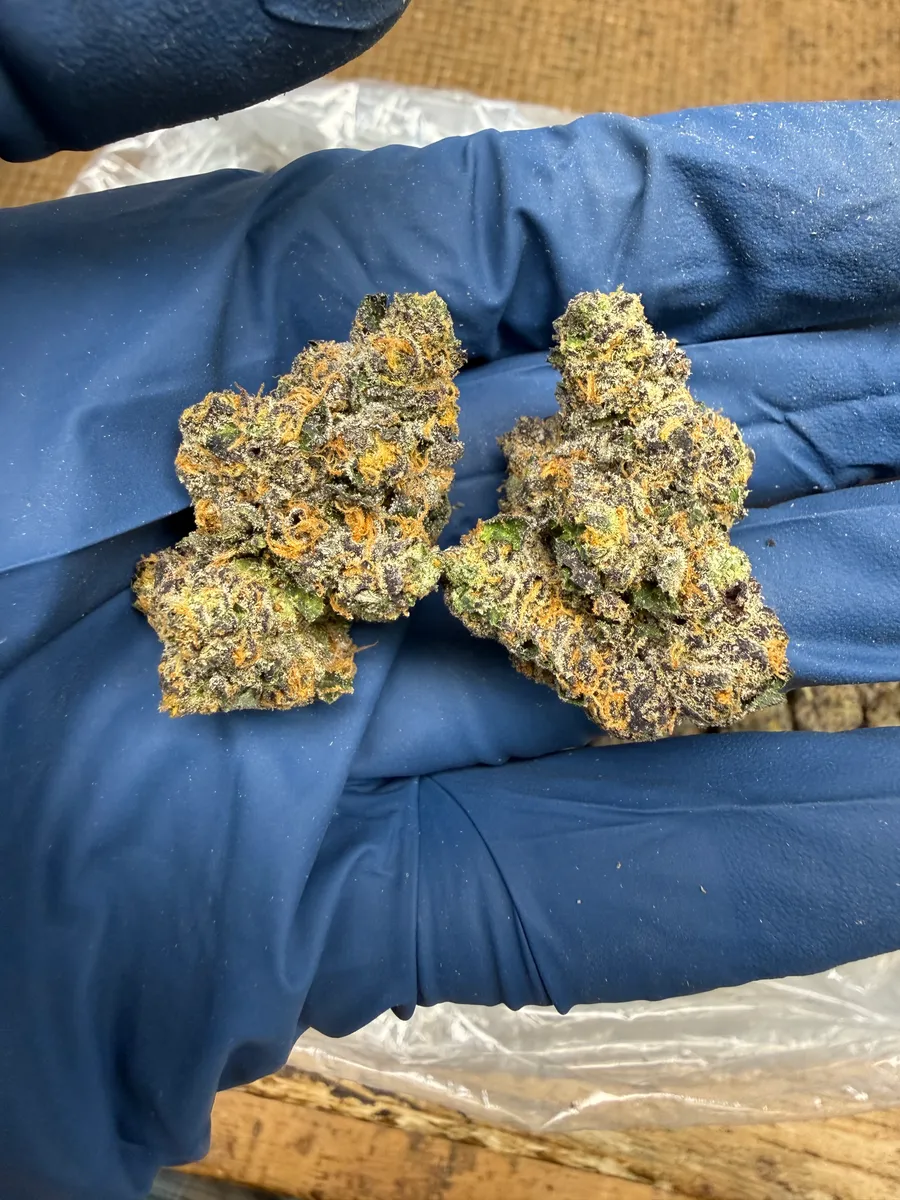 Papaya Bomb wholesale hemp flower