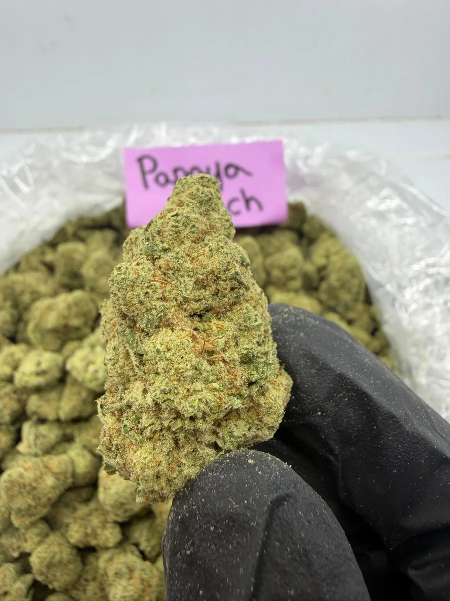 Papaya Punch wholesale hemp