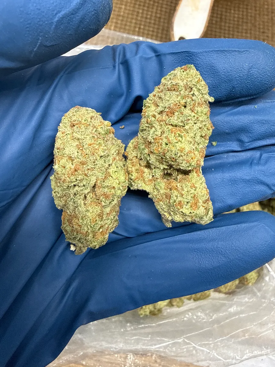 Papaya wholesale hemp flower