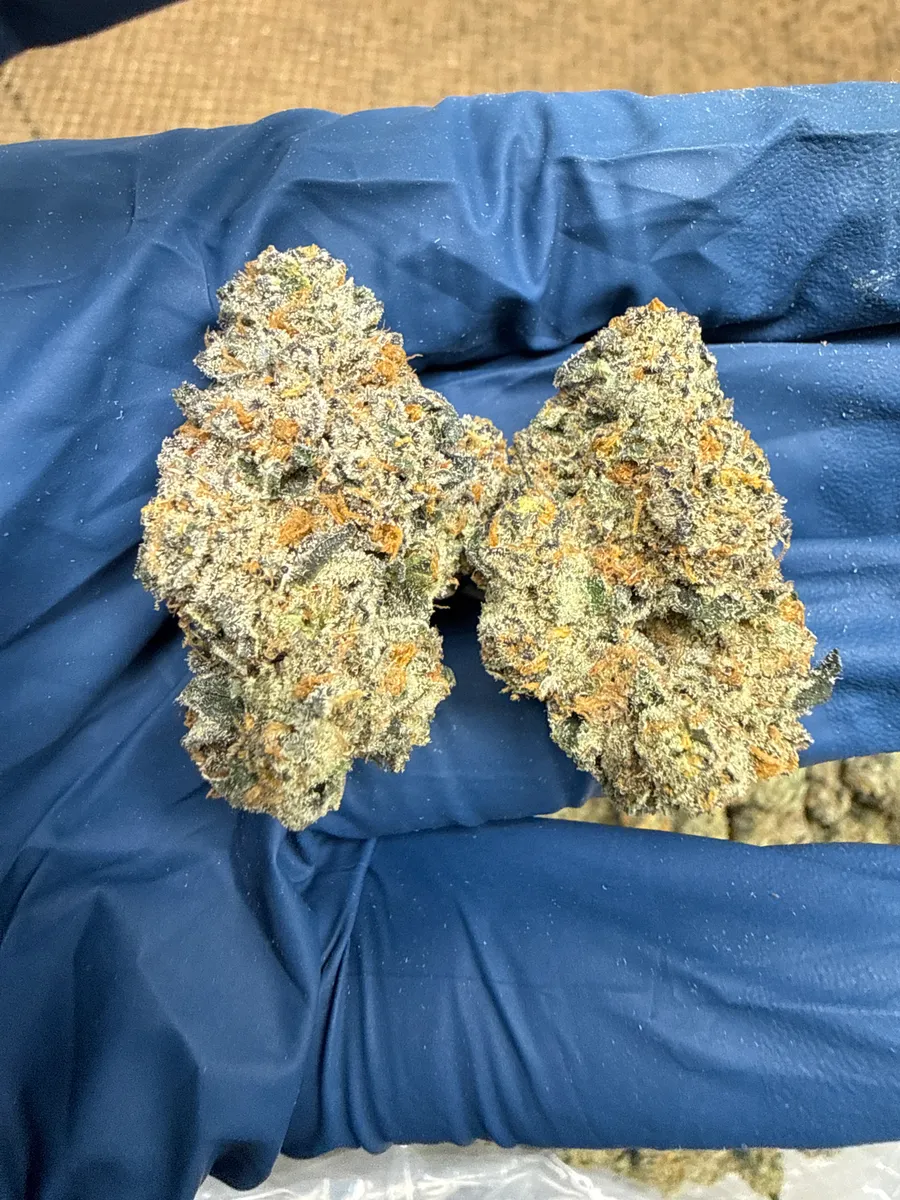 Permzilla wholesale hemp flower