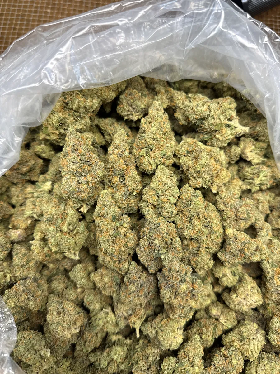 Planet Sherb wholesale hemp flower