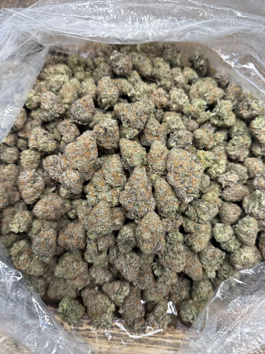 Purple Haze wholesale hemp