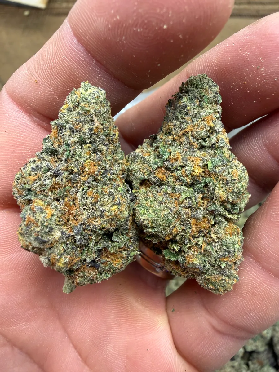 Purple Milk wholesale hemp flower