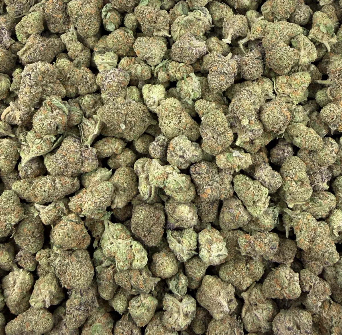 Purple Milk wholesale hemp flower