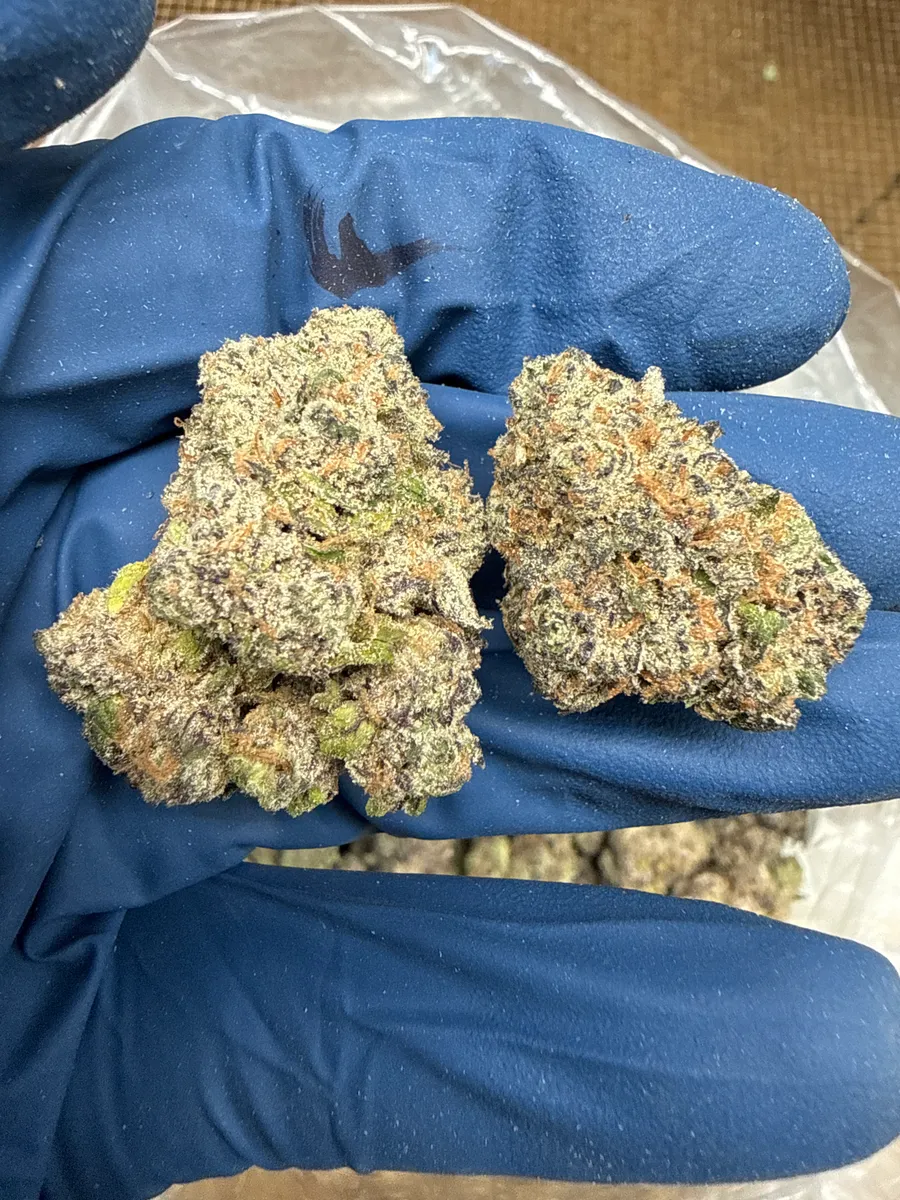 Purple Runtz wholesale hemp flower