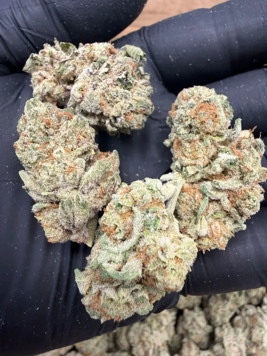 Purple Splash wholesale hemp flower