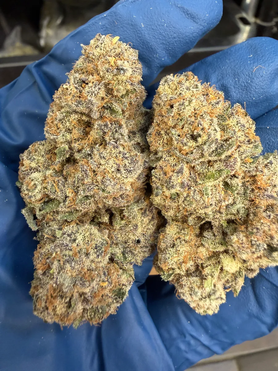 Sherb Tang wholesale hemp flower