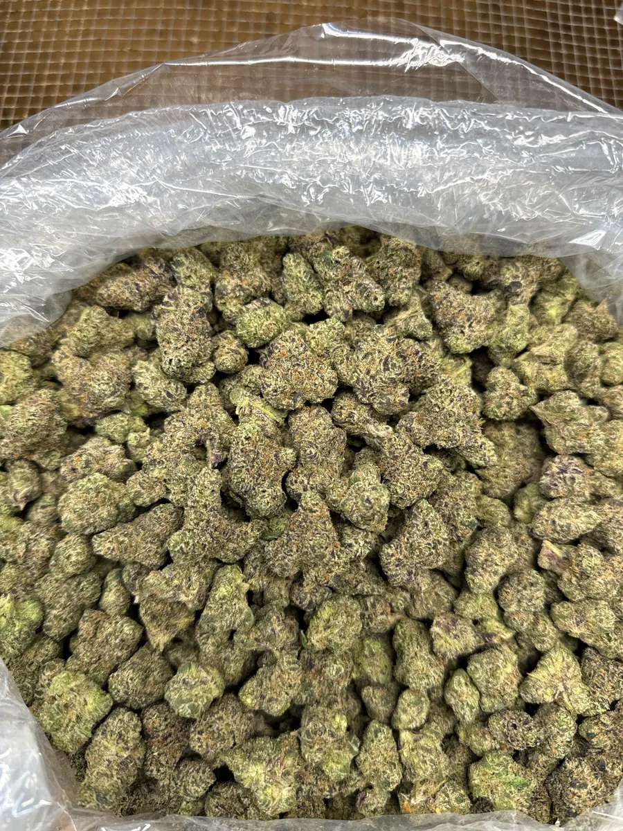Sherbet wholesale hemp flower
