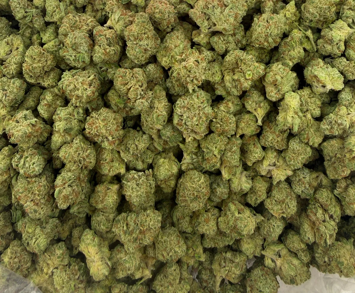 Son of MAC wholesale hemp flower