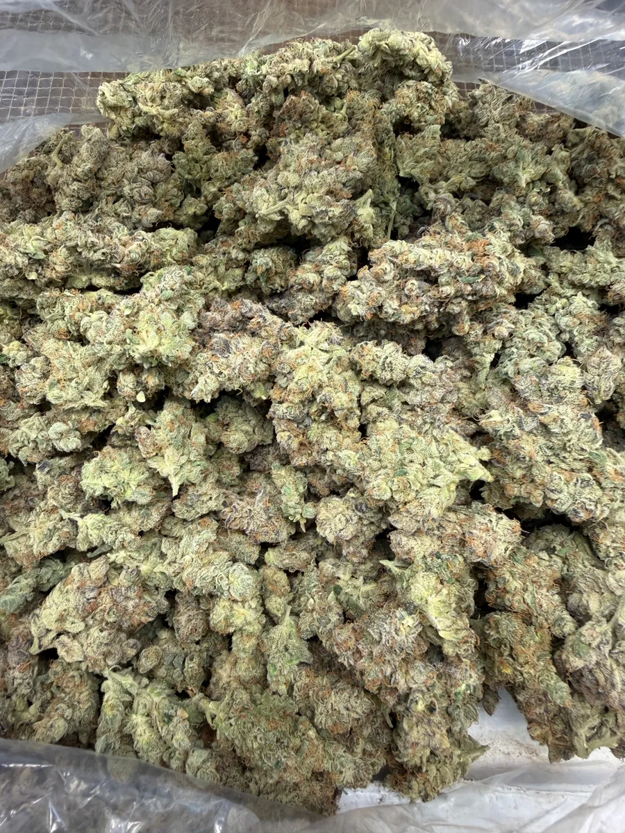 Sour Chiesel wholesale hemp flower