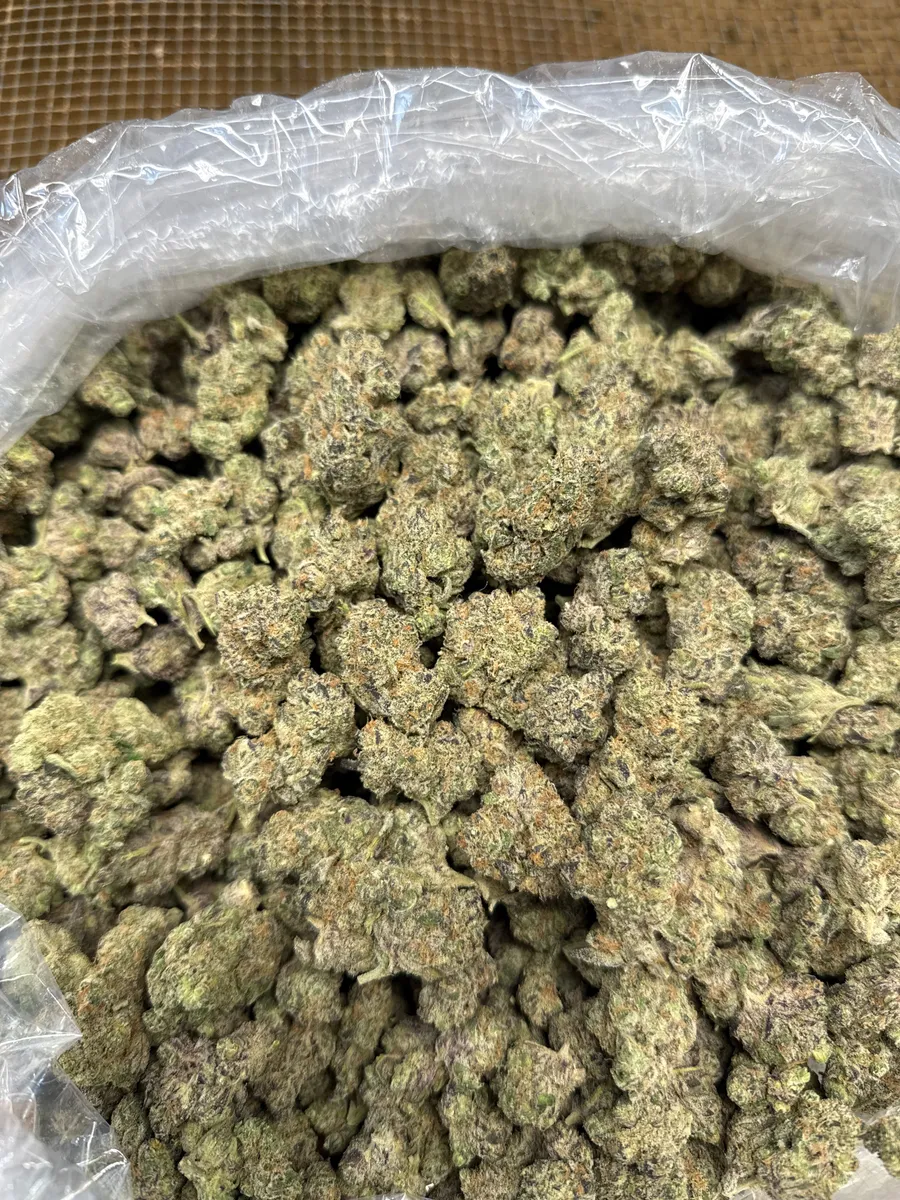 Space Cake wholesale hemp