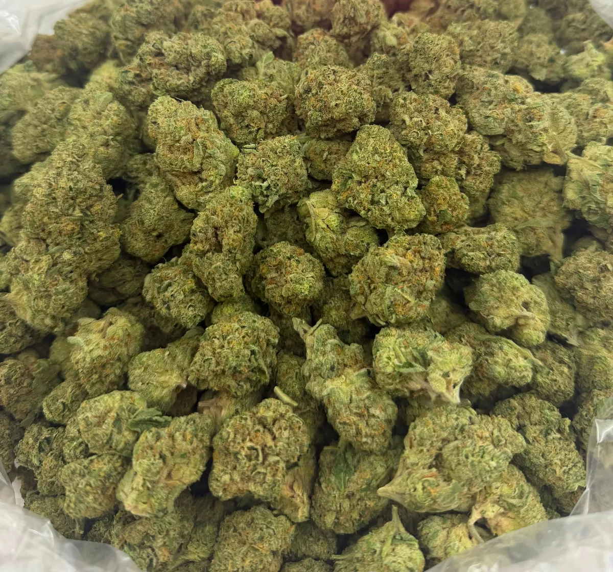Sugar Cookies wholesale hemp flower