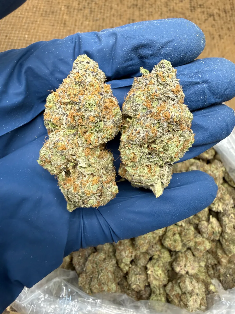 Super Lemon Pop wholesale hemp flower