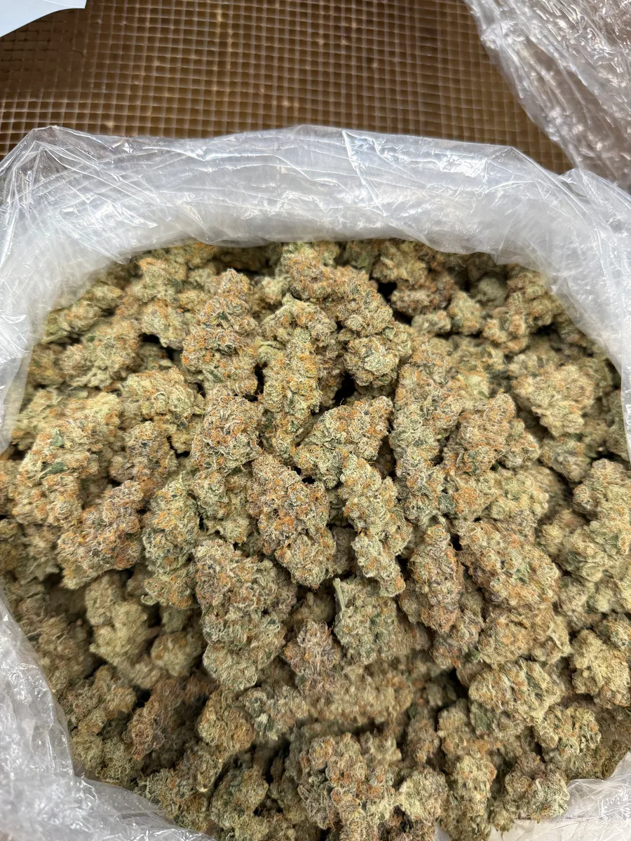 Tangie Souffle wholesale hemp flower