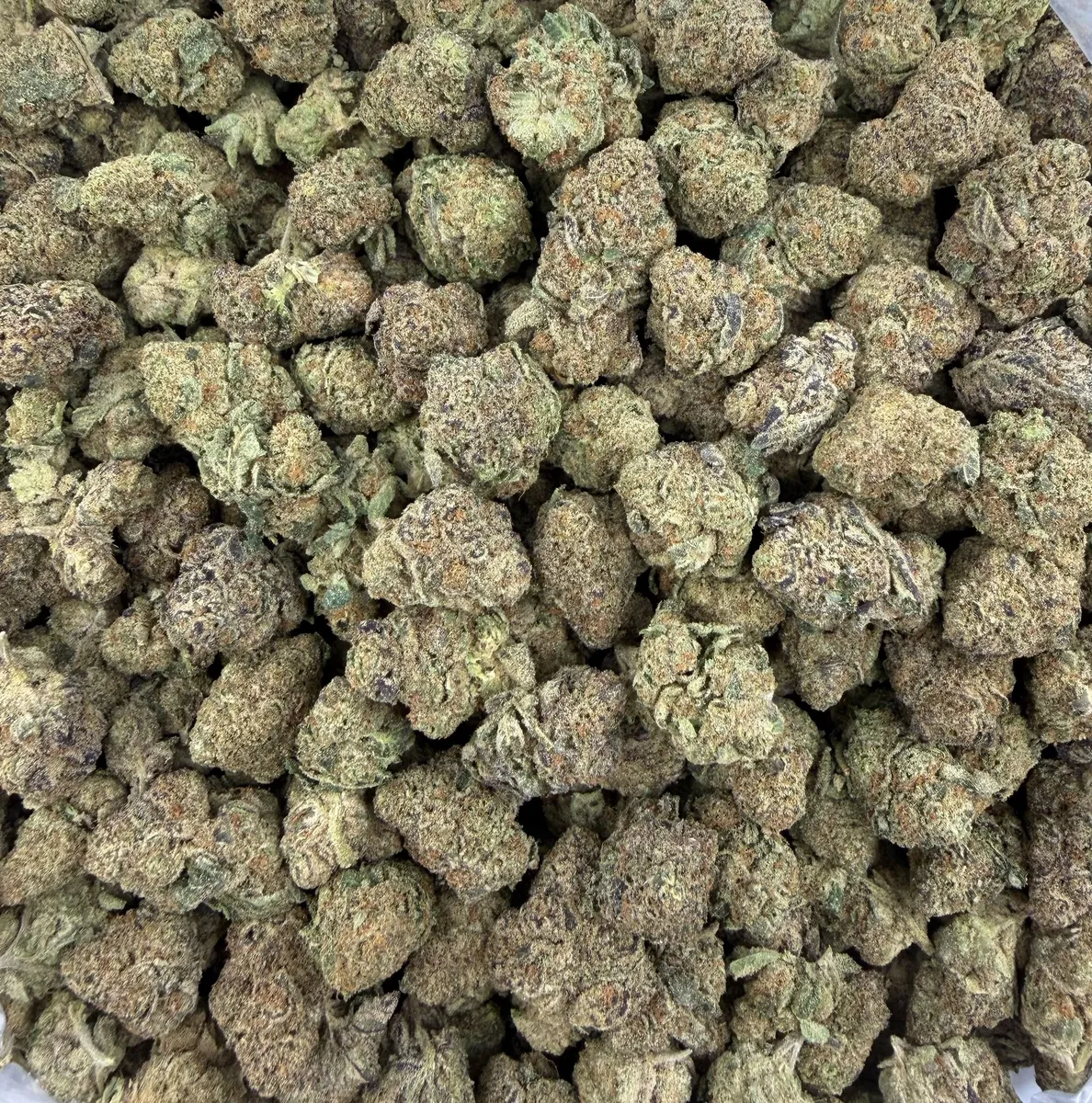 Z Cube wholesale hemp flower